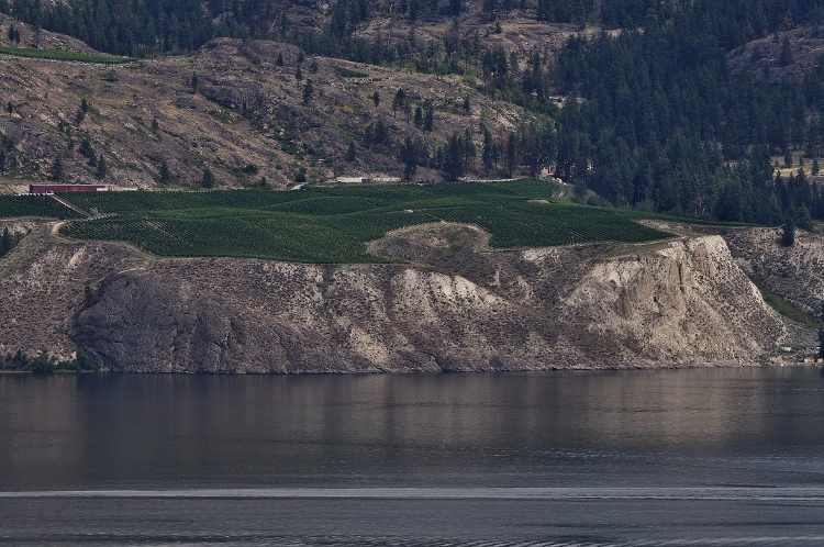 lakeshore community